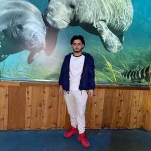 Meet your Posher, Melvin